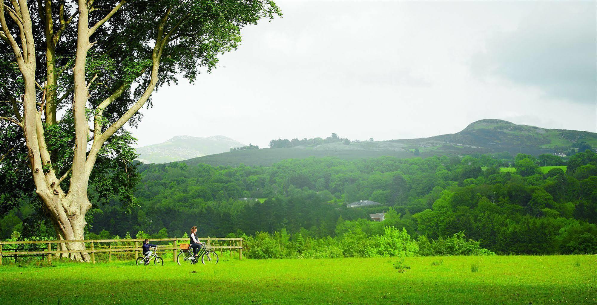 Powerscourt Hotel, Autograph Collection Enniskerry Bagian luar foto View of the Black Forest from the Kaiserstuhl